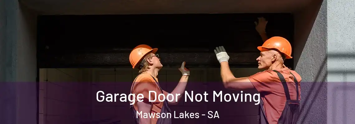 Garage Door Not Moving Mawson Lakes - SA