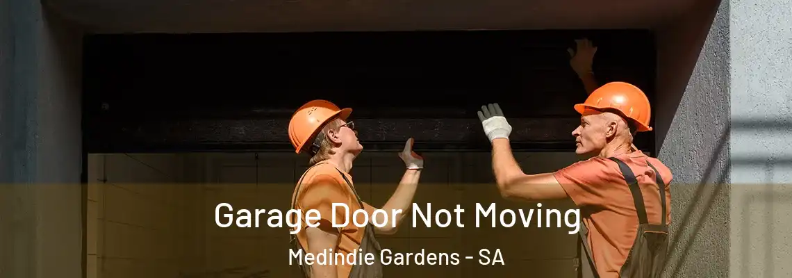  Garage Door Not Moving Medindie Gardens - SA
