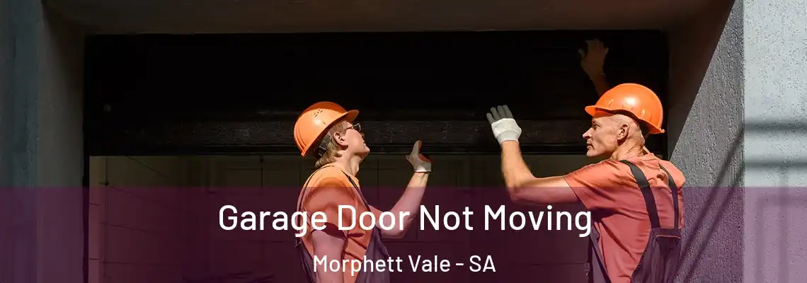  Garage Door Not Moving Morphett Vale - SA