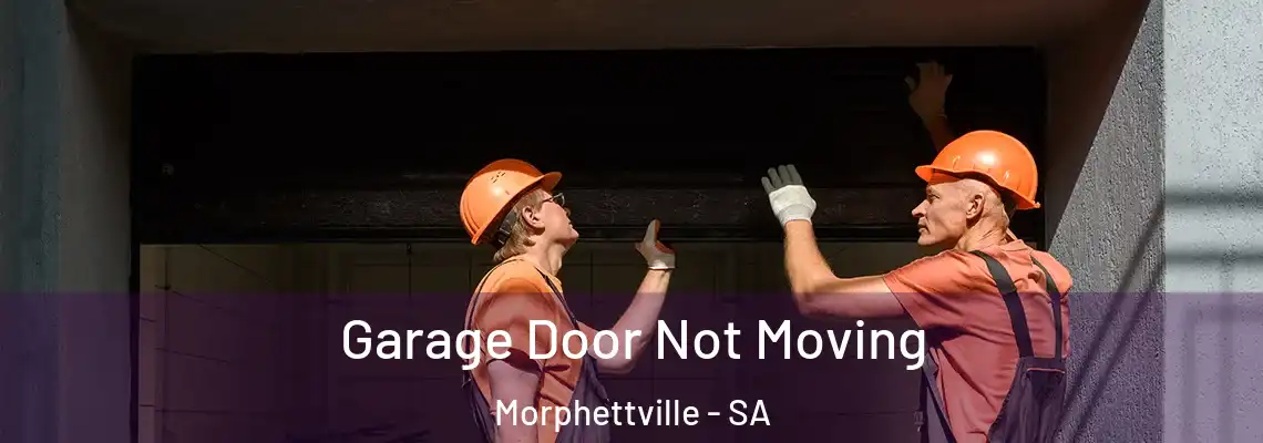 Garage Door Not Moving Morphettville - SA