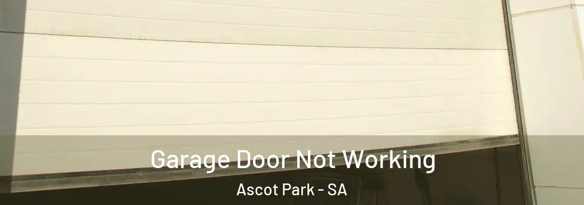  Garage Door Not Working Ascot Park - SA