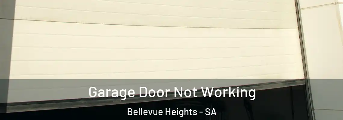  Garage Door Not Working Bellevue Heights - SA