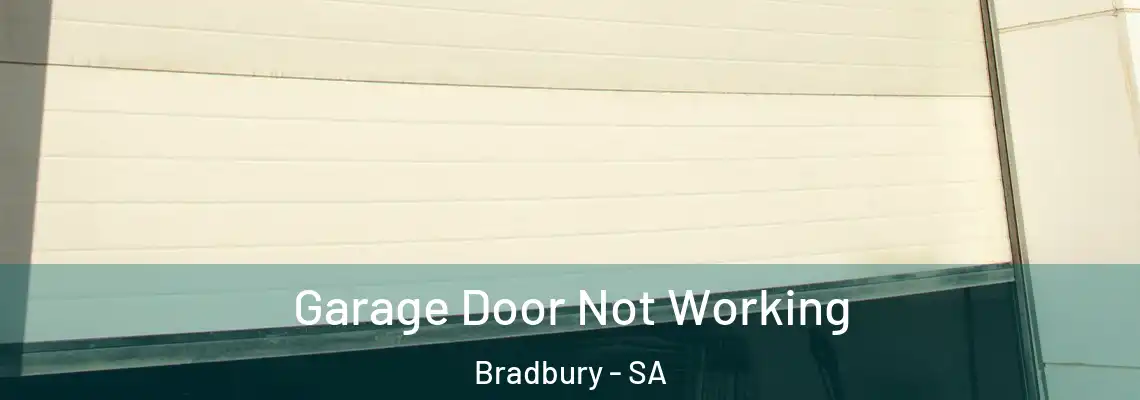  Garage Door Not Working Bradbury - SA