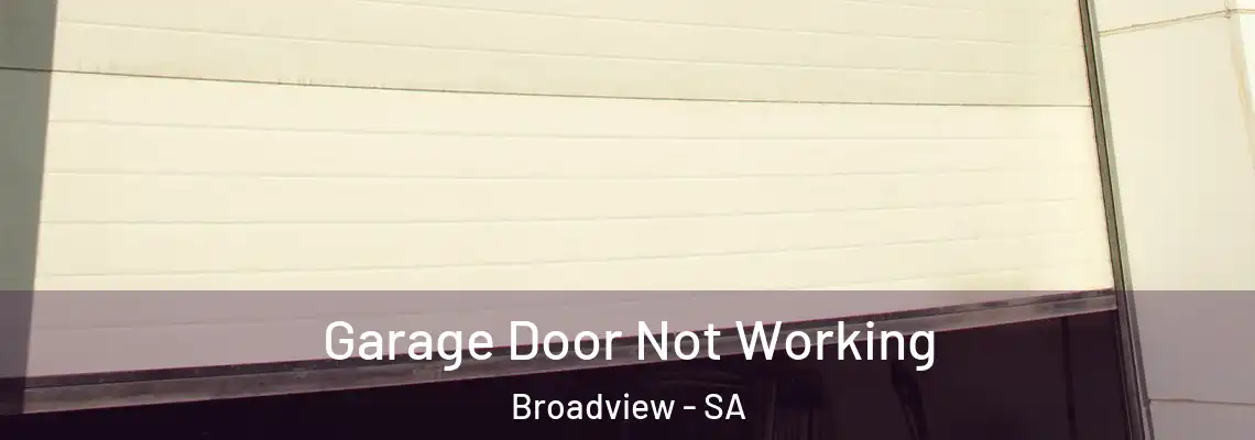  Garage Door Not Working Broadview - SA