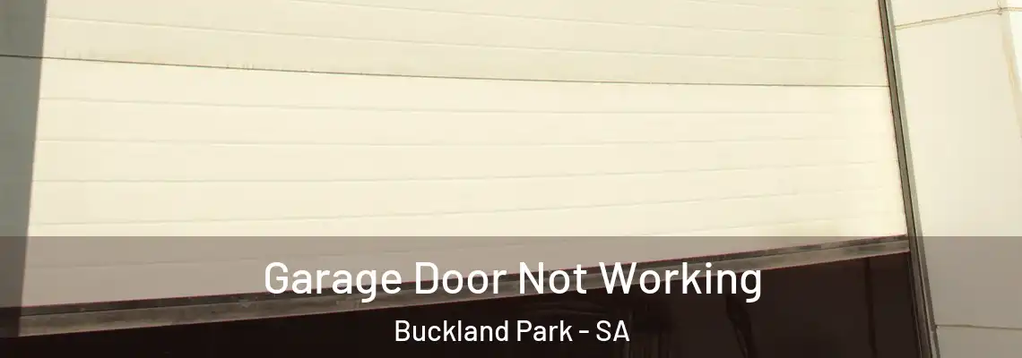  Garage Door Not Working Buckland Park - SA