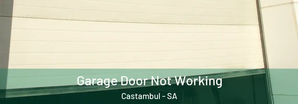  Garage Door Not Working Castambul - SA