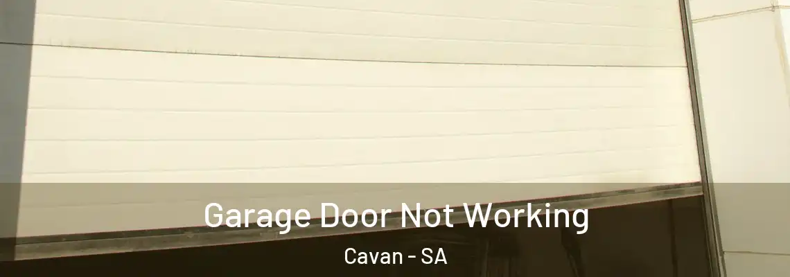  Garage Door Not Working Cavan - SA