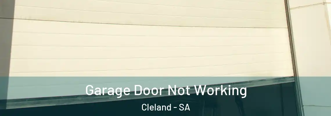 Garage Door Not Working Cleland - SA