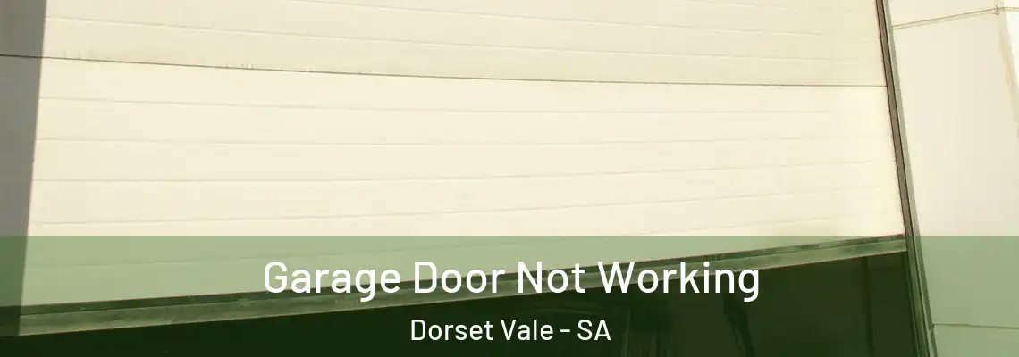  Garage Door Not Working Dorset Vale - SA
