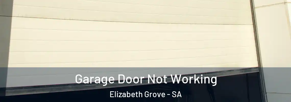  Garage Door Not Working Elizabeth Grove - SA