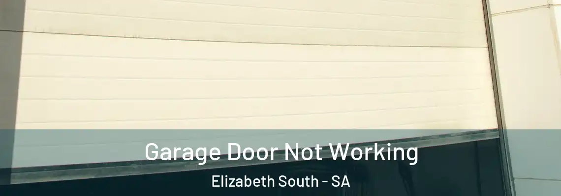  Garage Door Not Working Elizabeth South - SA