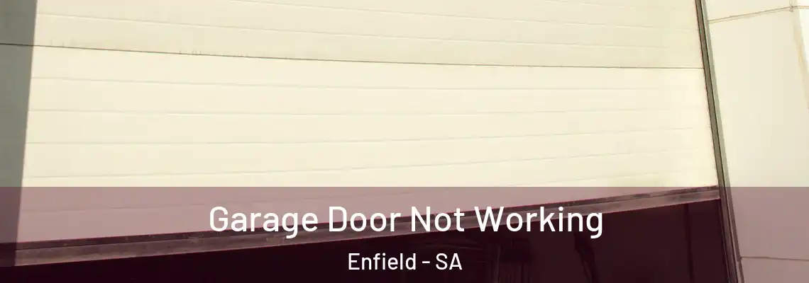  Garage Door Not Working Enfield - SA