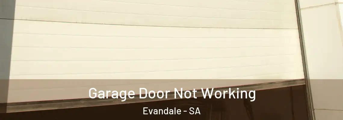  Garage Door Not Working Evandale - SA