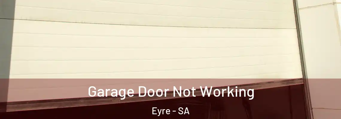  Garage Door Not Working Eyre - SA