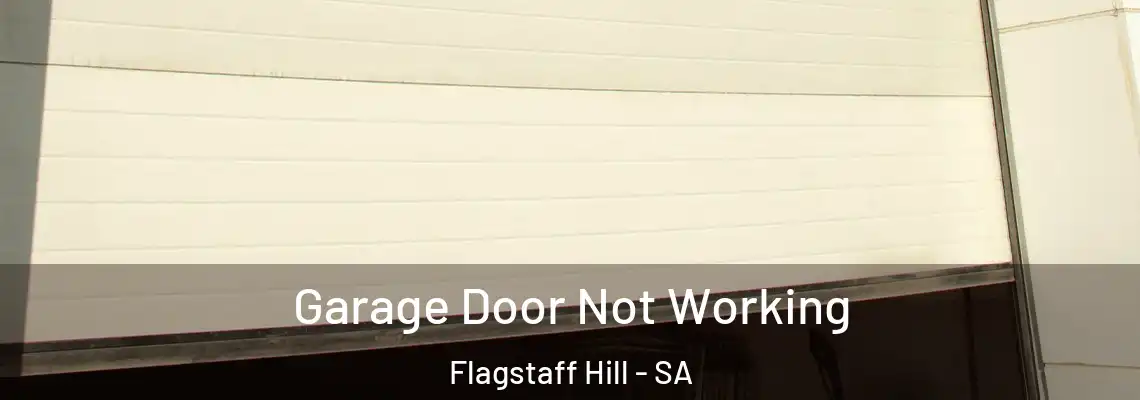  Garage Door Not Working Flagstaff Hill - SA