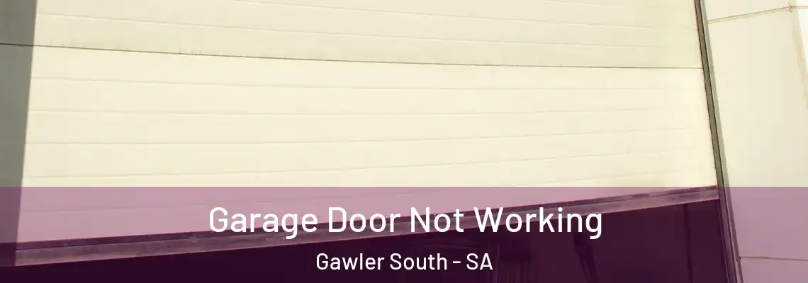 Garage Door Not Working Gawler South - SA