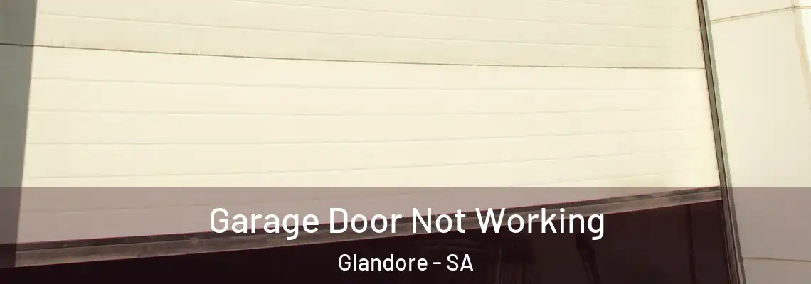  Garage Door Not Working Glandore - SA