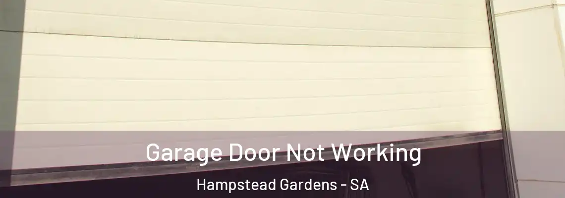 Garage Door Not Working Hampstead Gardens - SA