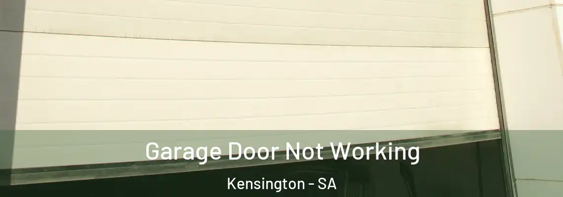  Garage Door Not Working Kensington - SA