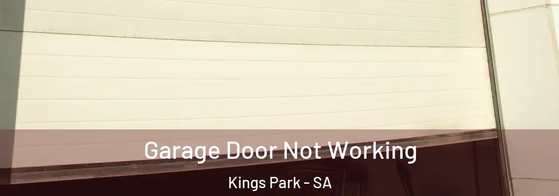  Garage Door Not Working Kings Park - SA