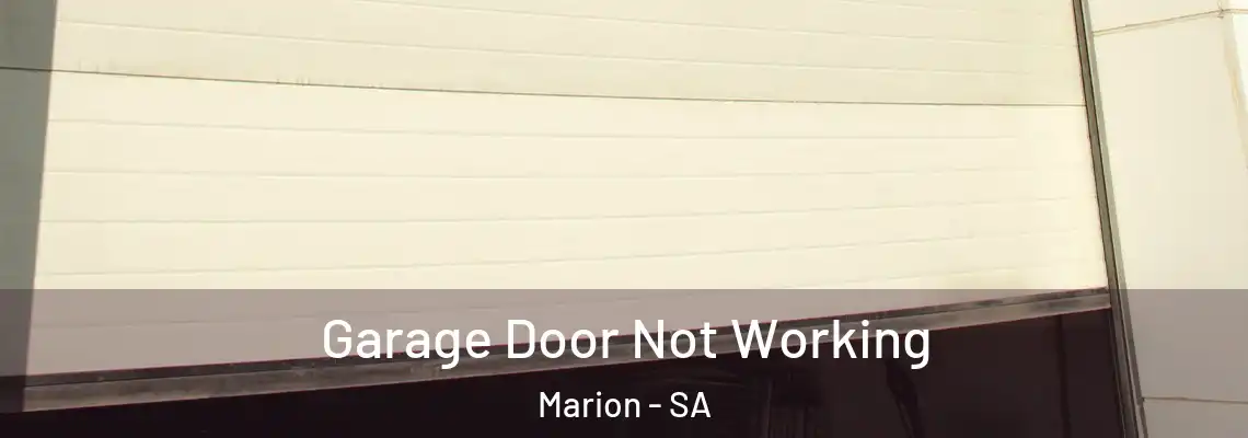  Garage Door Not Working Marion - SA