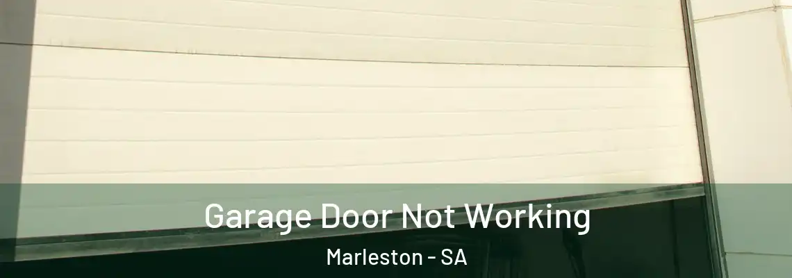  Garage Door Not Working Marleston - SA