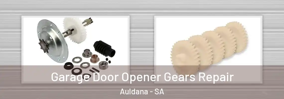  Garage Door Opener Gears Repair Auldana - SA