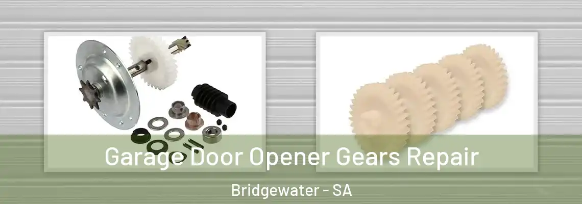  Garage Door Opener Gears Repair Bridgewater - SA