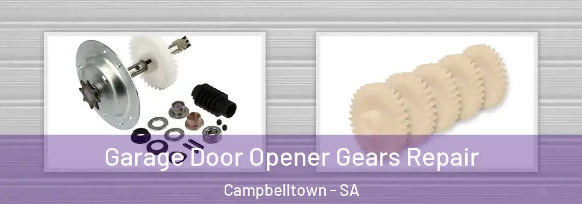  Garage Door Opener Gears Repair Campbelltown - SA