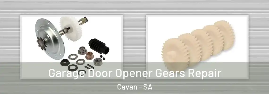  Garage Door Opener Gears Repair Cavan - SA