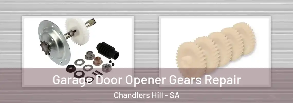  Garage Door Opener Gears Repair Chandlers Hill - SA