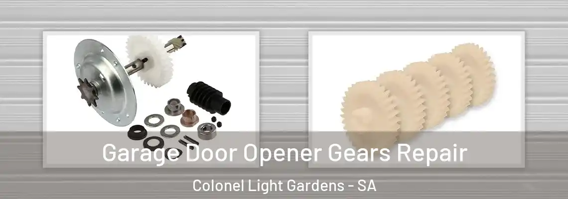  Garage Door Opener Gears Repair Colonel Light Gardens - SA