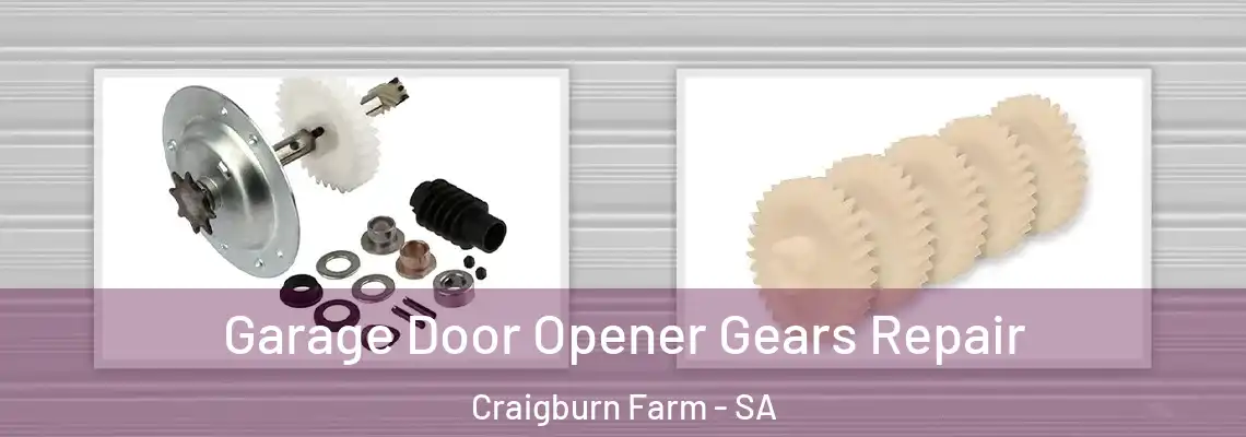  Garage Door Opener Gears Repair Craigburn Farm - SA