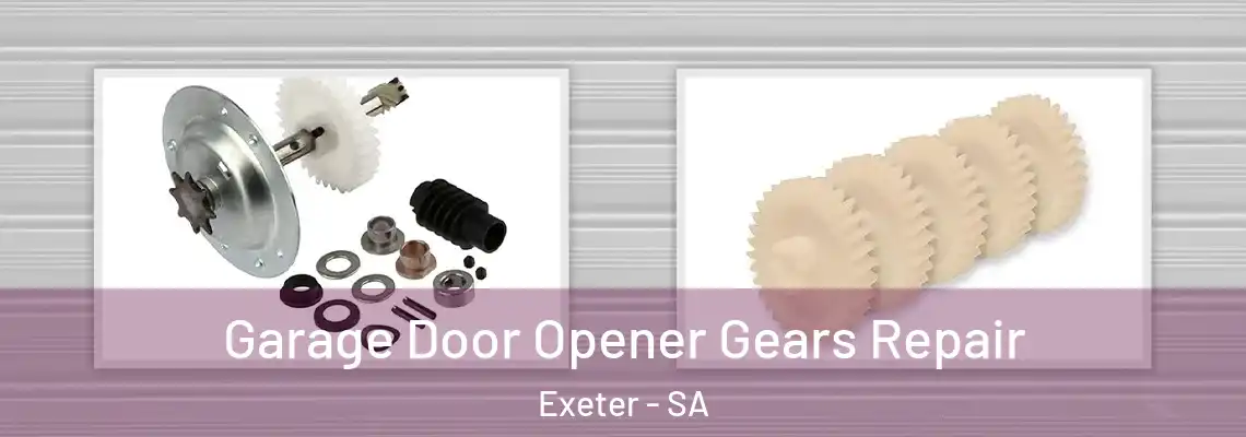  Garage Door Opener Gears Repair Exeter - SA