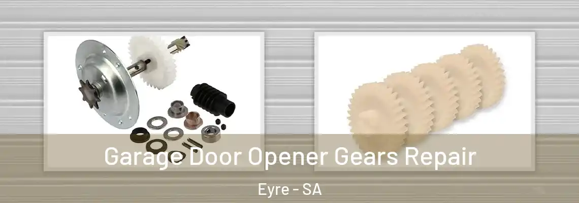  Garage Door Opener Gears Repair Eyre - SA