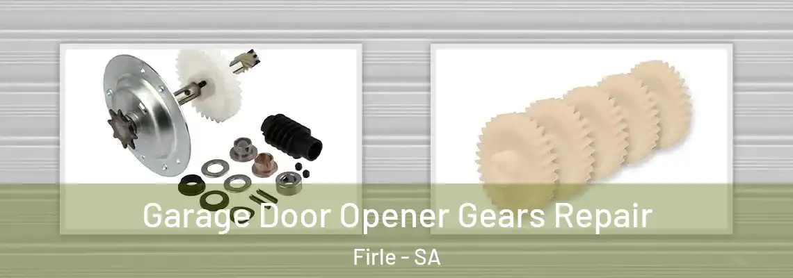  Garage Door Opener Gears Repair Firle - SA