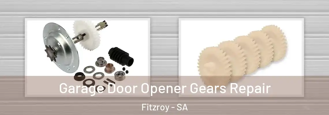  Garage Door Opener Gears Repair Fitzroy - SA