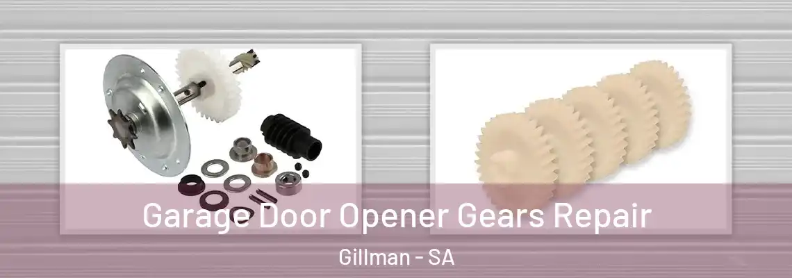  Garage Door Opener Gears Repair Gillman - SA