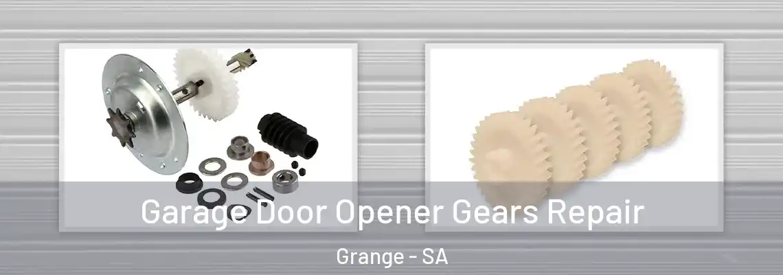  Garage Door Opener Gears Repair Grange - SA