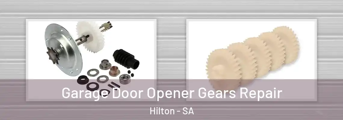  Garage Door Opener Gears Repair Hilton - SA