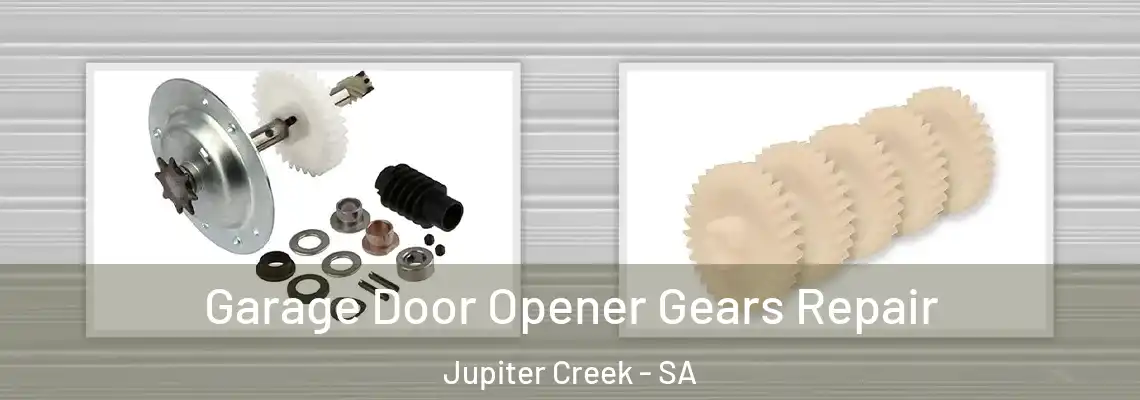  Garage Door Opener Gears Repair Jupiter Creek - SA