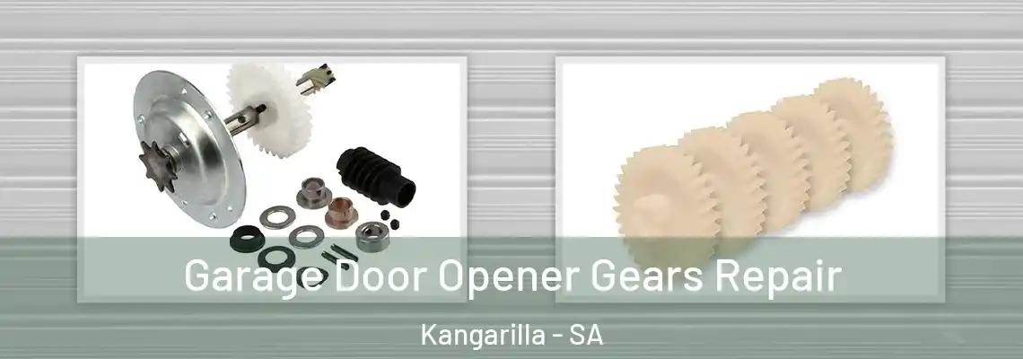  Garage Door Opener Gears Repair Kangarilla - SA