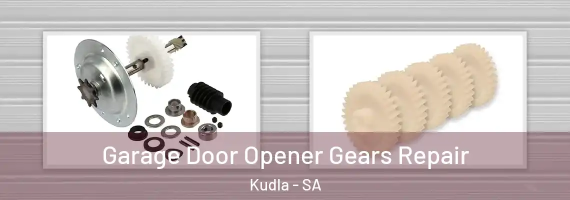  Garage Door Opener Gears Repair Kudla - SA