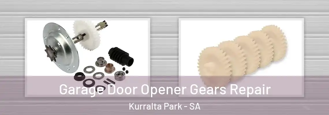  Garage Door Opener Gears Repair Kurralta Park - SA