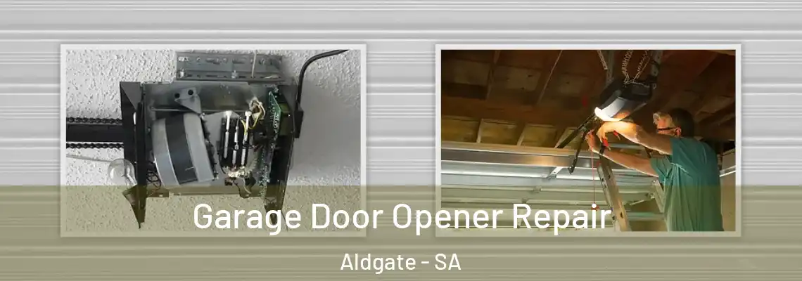  Garage Door Opener Repair Aldgate - SA