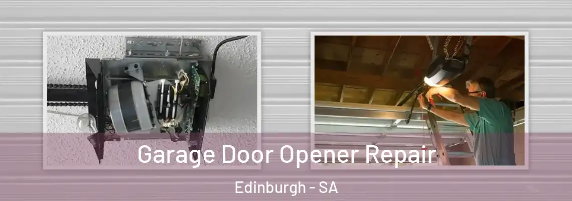  Garage Door Opener Repair Edinburgh - SA