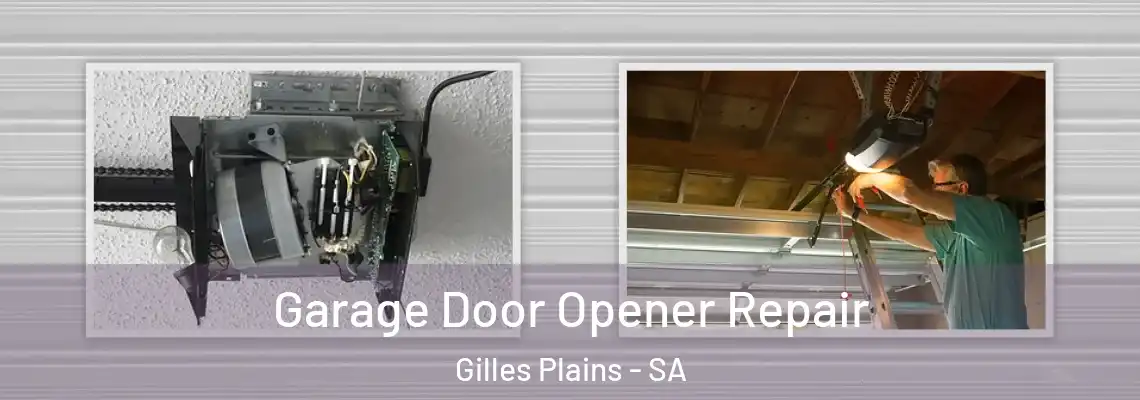  Garage Door Opener Repair Gilles Plains - SA