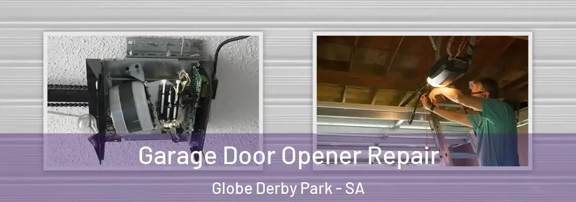 Garage Door Opener Repair Globe Derby Park - SA