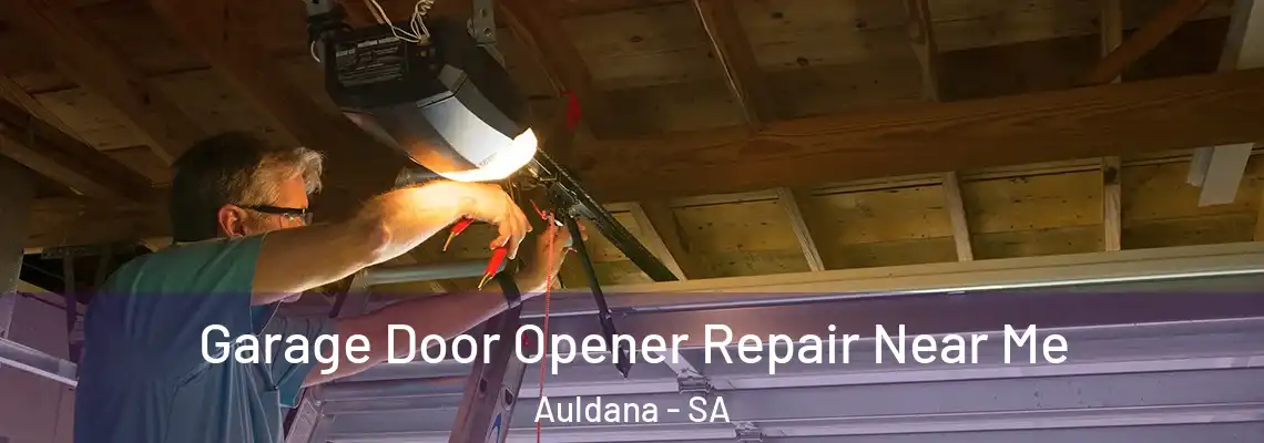  Garage Door Opener Repair Near Me Auldana - SA