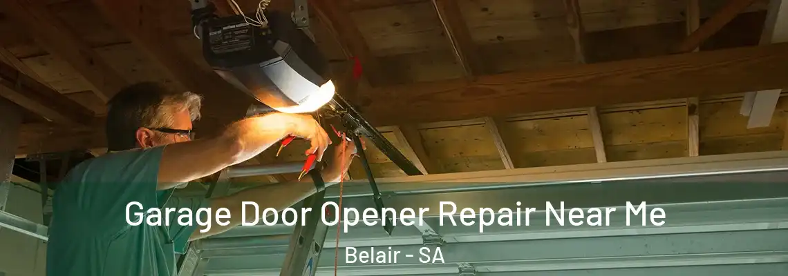  Garage Door Opener Repair Near Me Belair - SA